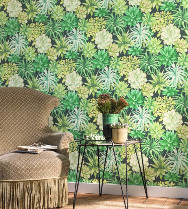 Echeveria Room Wallpaper 2 - Green