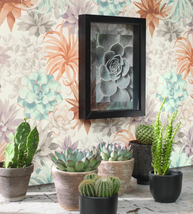 Echeveria Room Wallpaper - Multicolor