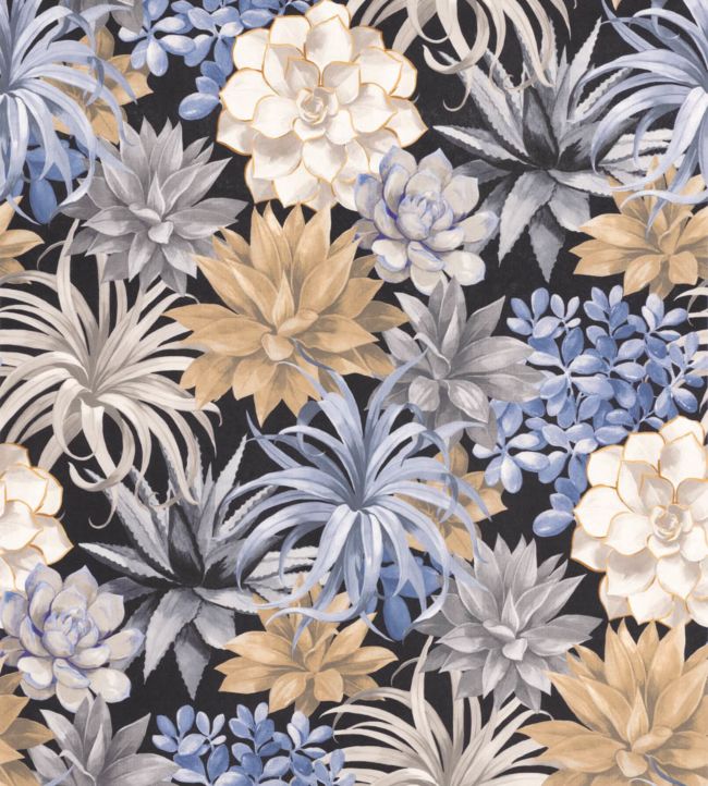 Echeveria Wallpaper - Blue