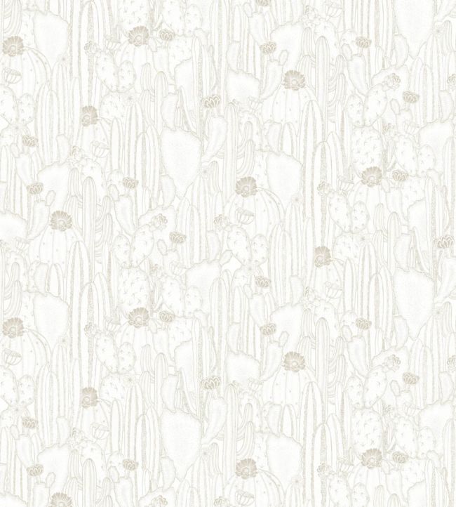 Cactaceae Wallpaper - White