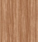 Eucalyptus Wallpaper - Sand