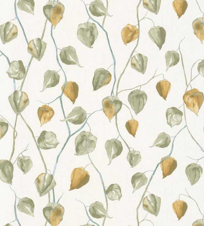 Lanternes Wallpaper - Green