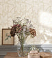 Acanthe Room Wallpaper 2 - Cream