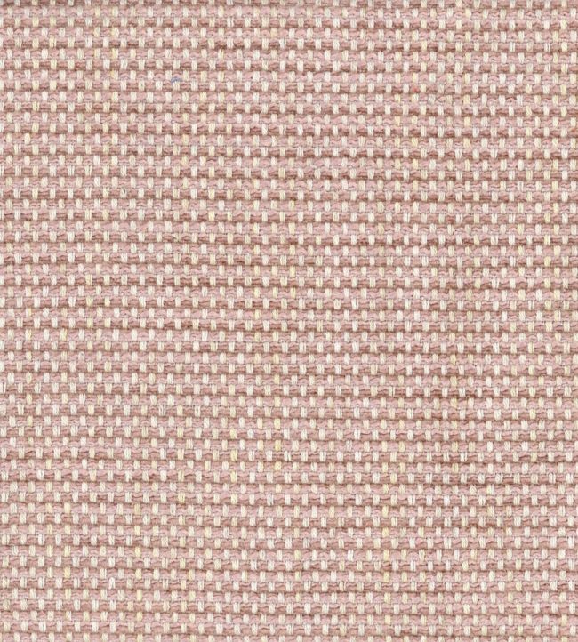 Molfetta Fabric - Pink 