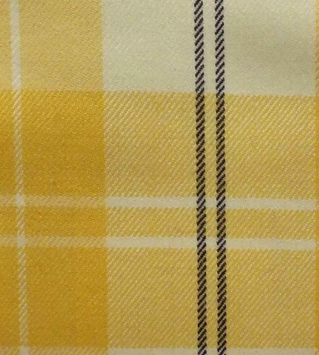 Ailsa Fabric - Yellow