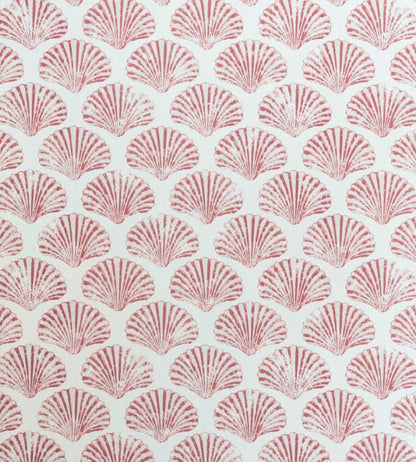 Scallop Shell Wallpaper - Pink