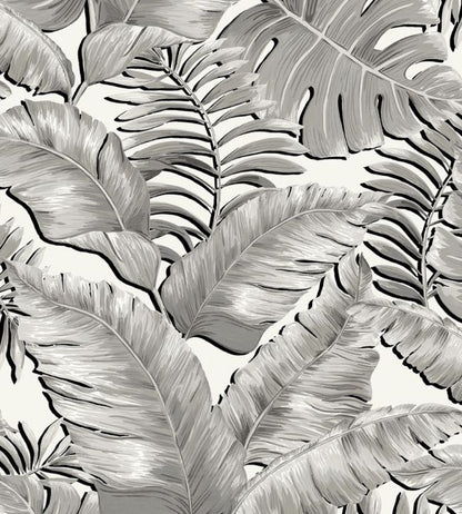 Banana Leaves Max Wallpaper - Gray