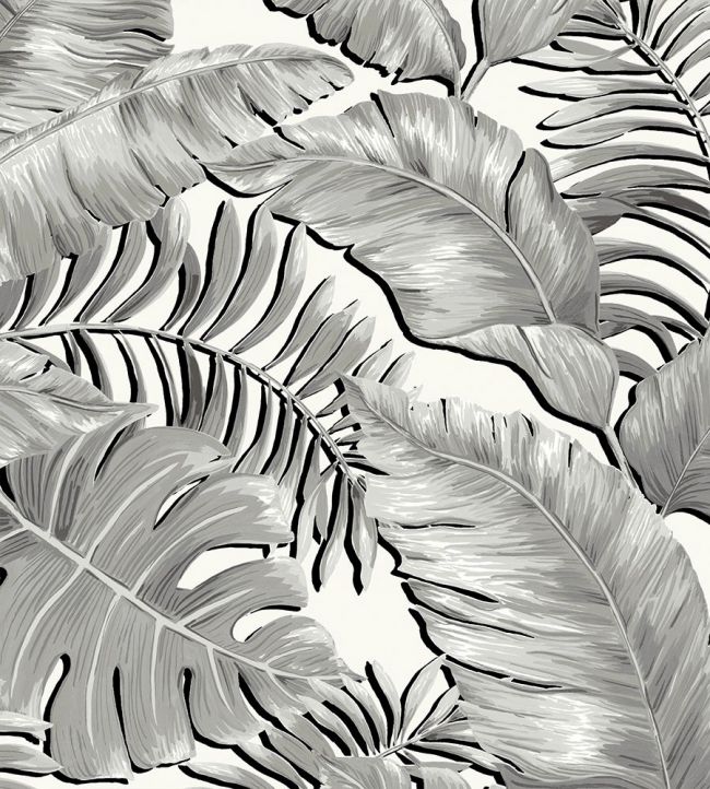 Banana Leaves Room Wallpaper 3 - Gray