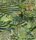 Rice Terrace Max Room Wallpaper 3 - Green