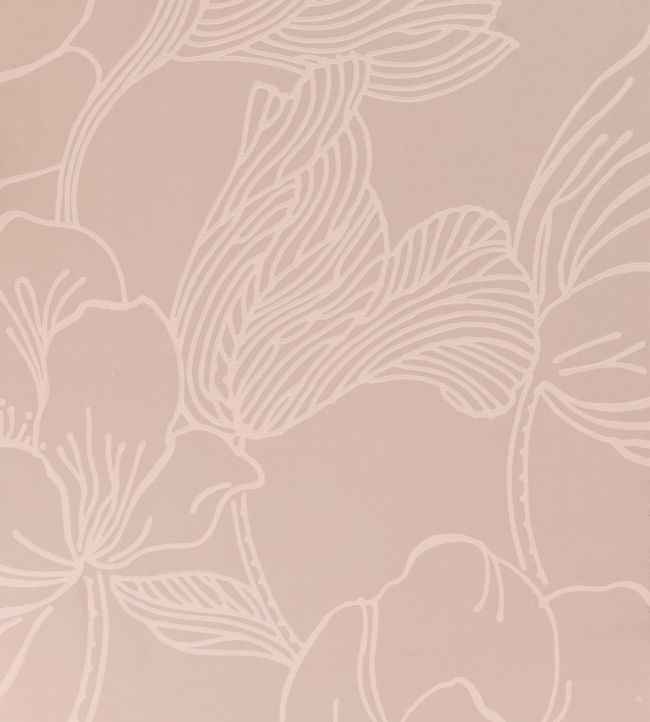 Helleborus Wallpaper - Pink