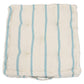 Austin Stripe Aqua Floor Cushion