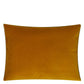 Cassia Velvet Cushion - Orange