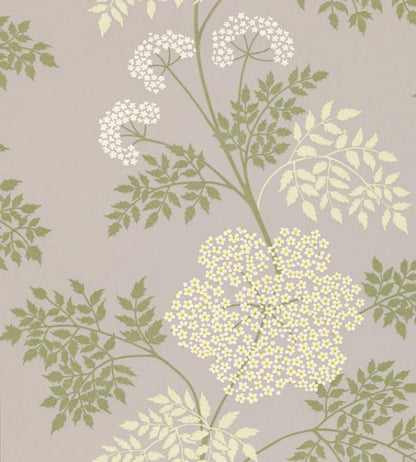 Cowparsley Wallpaper - Purple