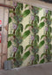 Topical Tropical Superwide Room Wallpaper - Green