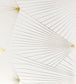 Fan Wallpaper - White