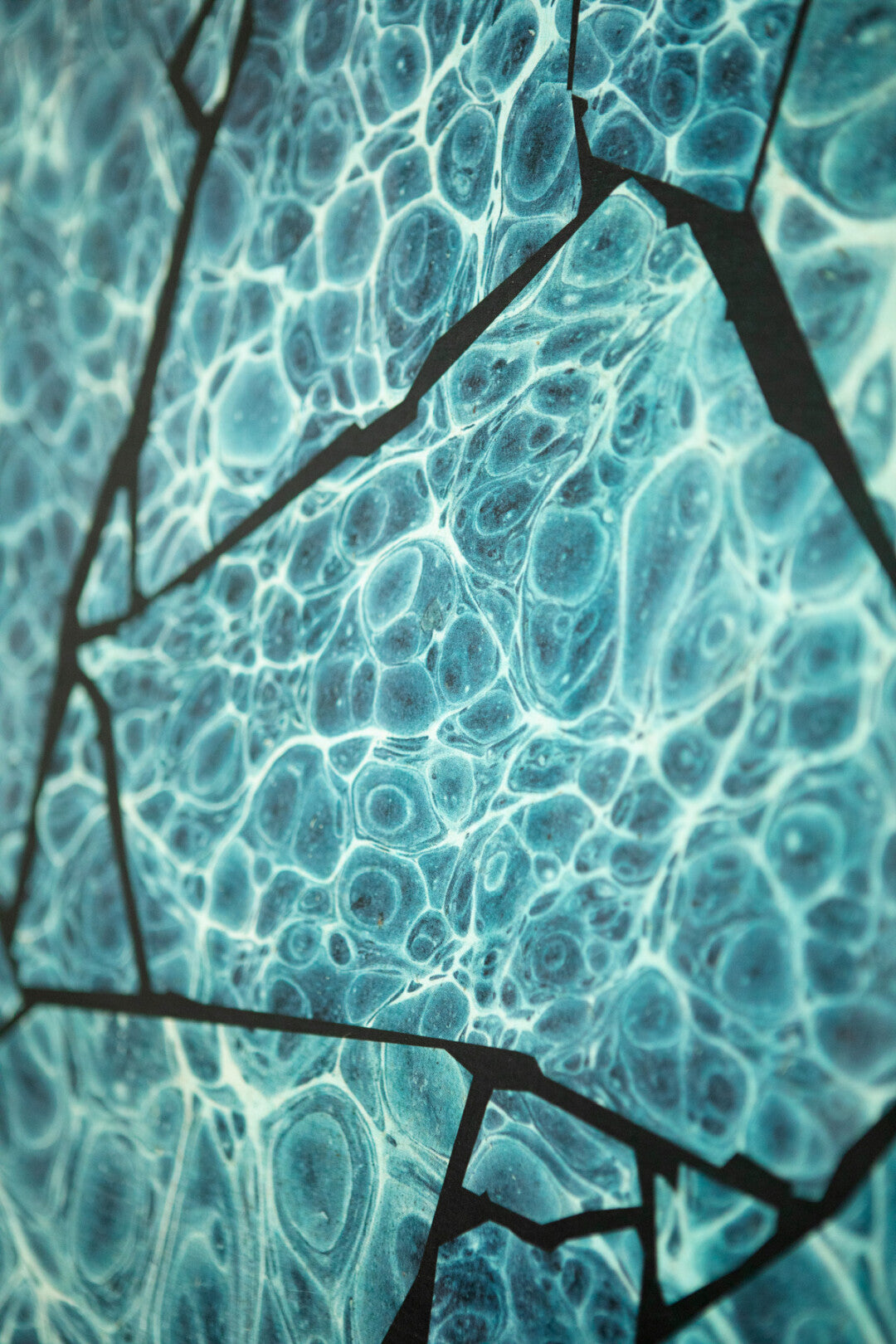 Palm Springs Foil Room Wallpaper 3 - Blue