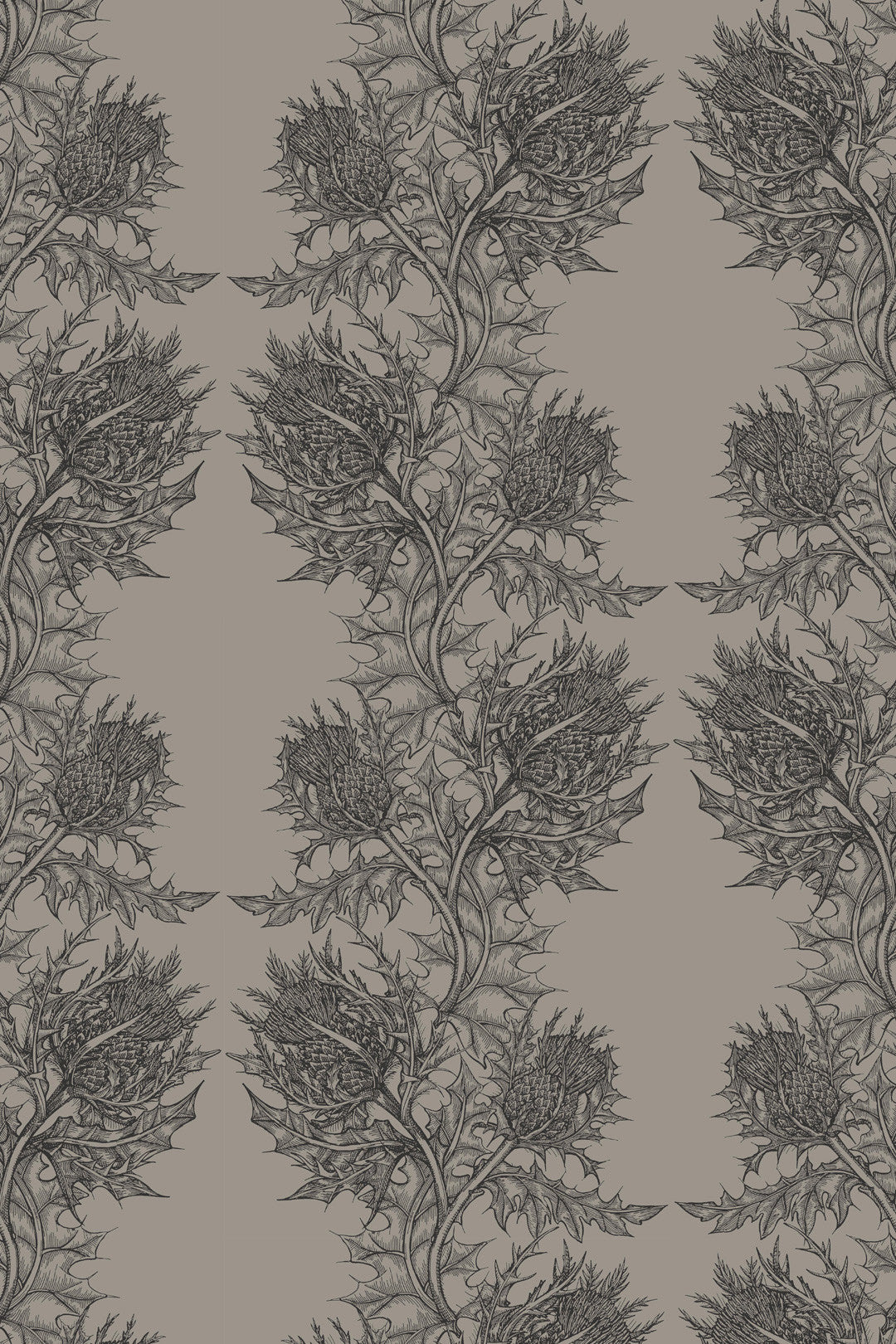 Thistle Wallpaper - Gray
