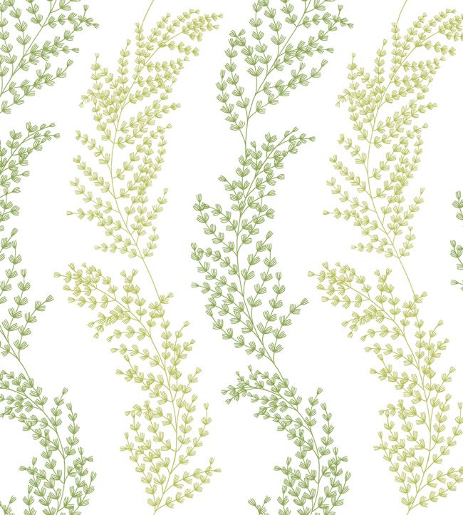 Mimosa Trail Wallpaper - Green