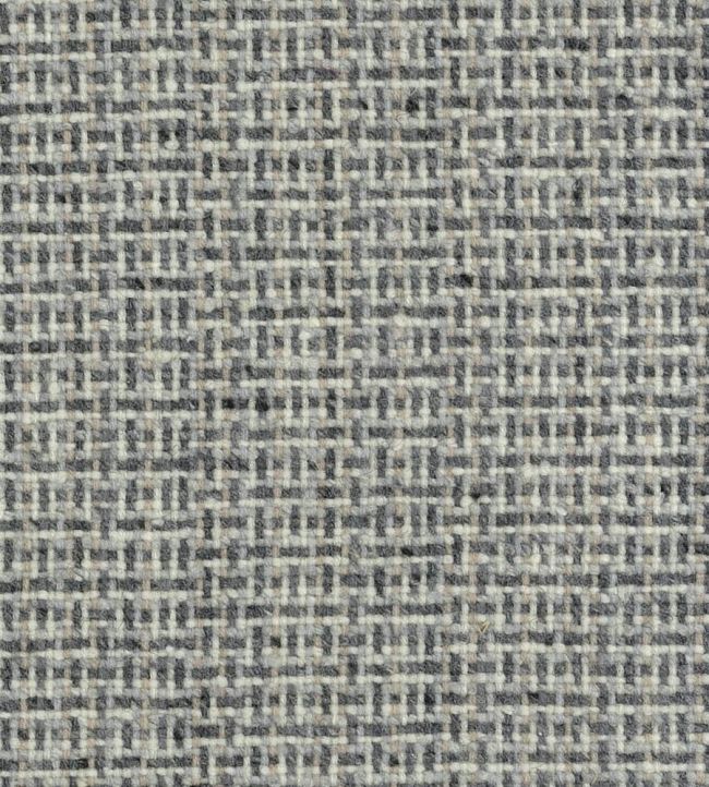 Lochore Walk Fabric - Gray 