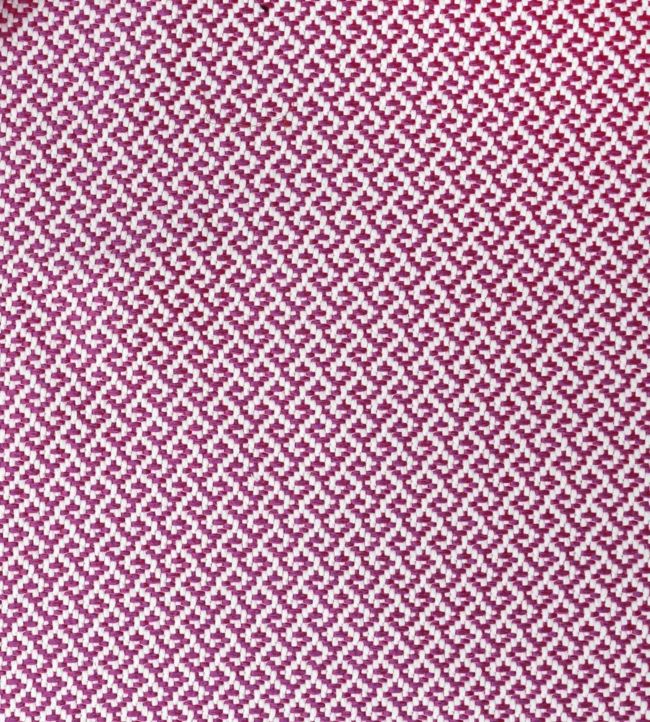 Amaze Fabric - Purple 