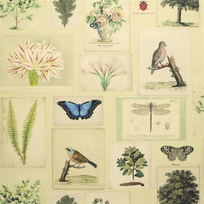 Flora And Fauna Wallpaper - Sand 