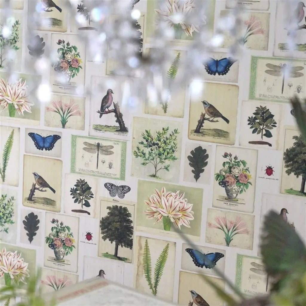 Flora And Fauna Room Wallpaper - Teal