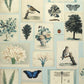 Flora And Fauna Wallpaper - Teal 