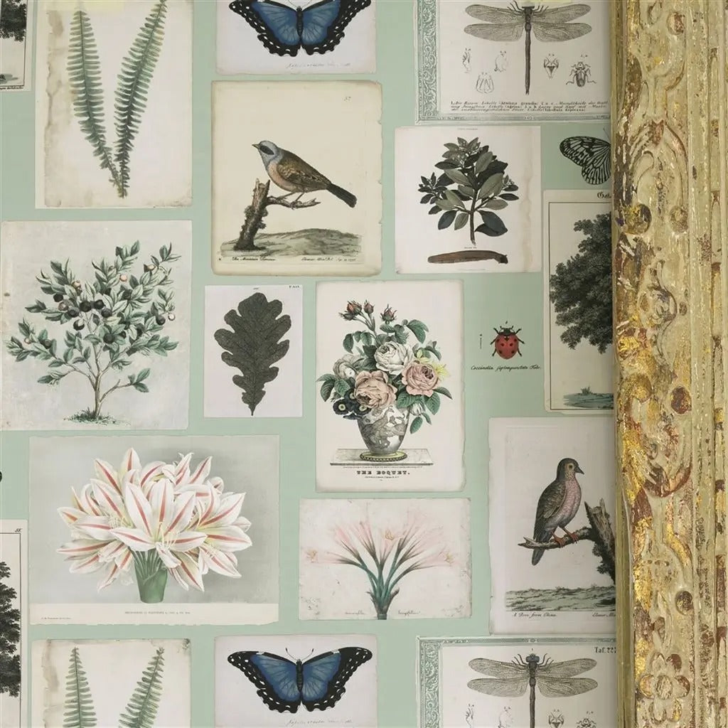 Flora And Fauna Room Wallpaper 3 - Teal