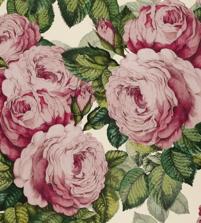 The Rose Wallpaper - Pink 