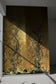 Golden Oriole Wallpaper Room Panels - Sand