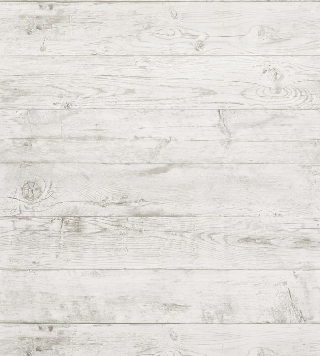 Rodanthe Wallpaper - White 