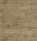 Rodanthe Wallpaper - Brown