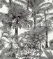 Palm Botanical Wallpaper - Black 