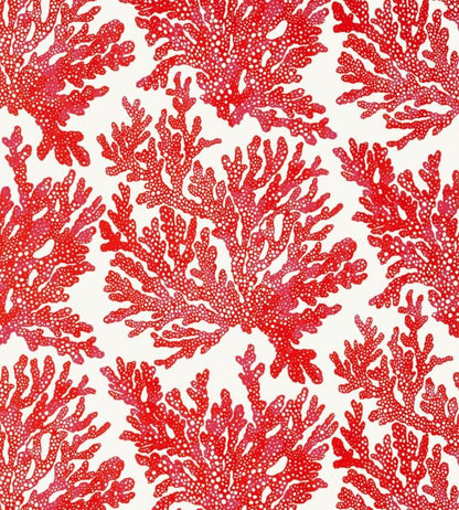 Marine Coral Wallpaper - Red 