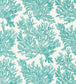 Marine Coral Wallpaper - Teal 