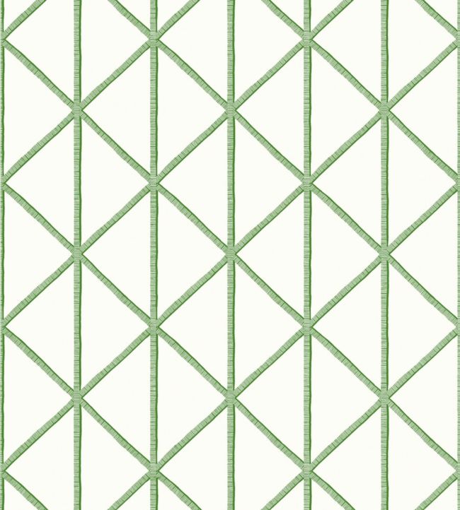 Box Kite Wallpaper - Green