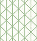 Box Kite Wallpaper - Green