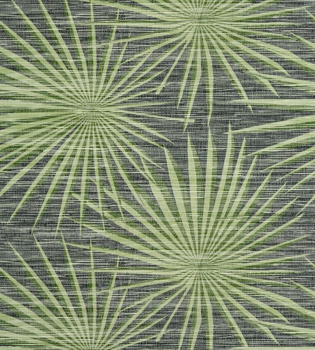 Palm Frond Wallpaper - Black 