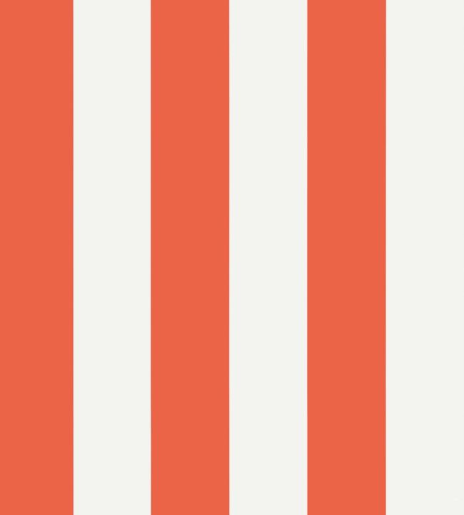 Summer Stripe Wallpaper - Orange