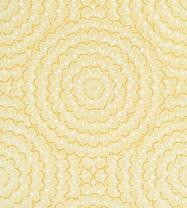 Aster Wallpaper - Yellow