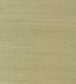 Shang Extra Fine Sisal Wallpaper - Green 