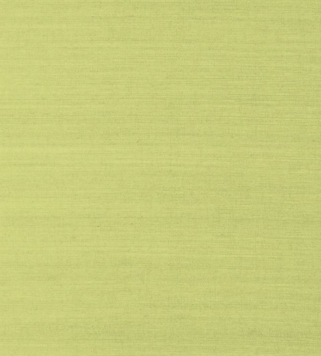 Shang Extra Fine Sisal Wallpaper - Green