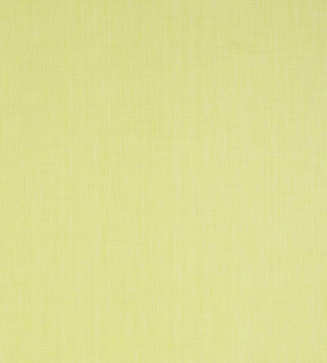 Regatta Raffia Wallpaper - Green 