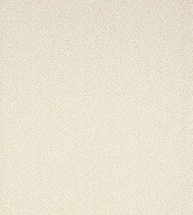 Seagreens Wallpaper - Cream 