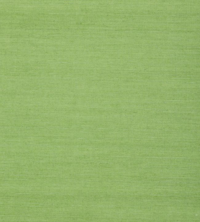 Shang Extra Fine Sisal Wallpaper - Green 