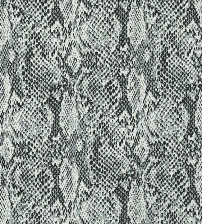 Boa Wallpaper - Gray