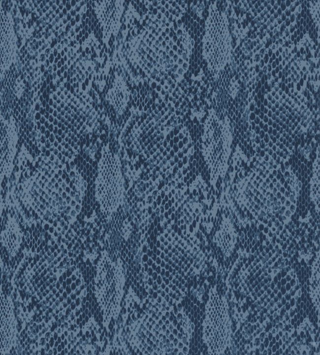Boa Wallpaper - Blue