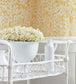 Carlotta Room Wallpaper - Yellow