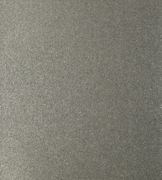 Rodeo Mica Wallpaper - Gray