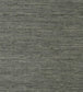 Maranta Arrowroot Wallpaper - Gray 